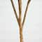 6ft. Potted Artificial Olive Tree with Natural Trunk